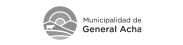 generalhacha-logo